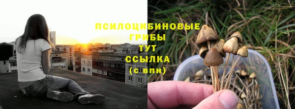 соль ск Горно-Алтайск