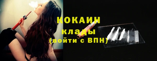 гидропоника Горняк